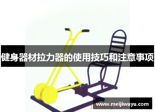 健身器材拉力器的使用技巧和注意事项